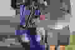 449109338_10162463108201874_2104833405304385469_n